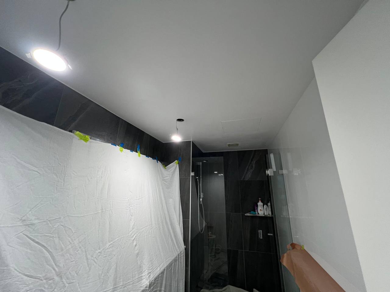 Painting work in Botany — after
